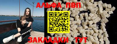 СК Бердск