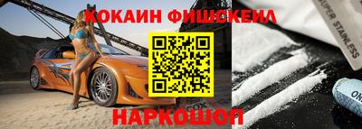 СК Бердск