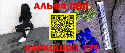 СК Бердск
