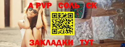 СК Бердск