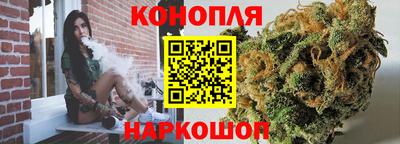 СК Бердск