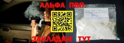 СК Бердск