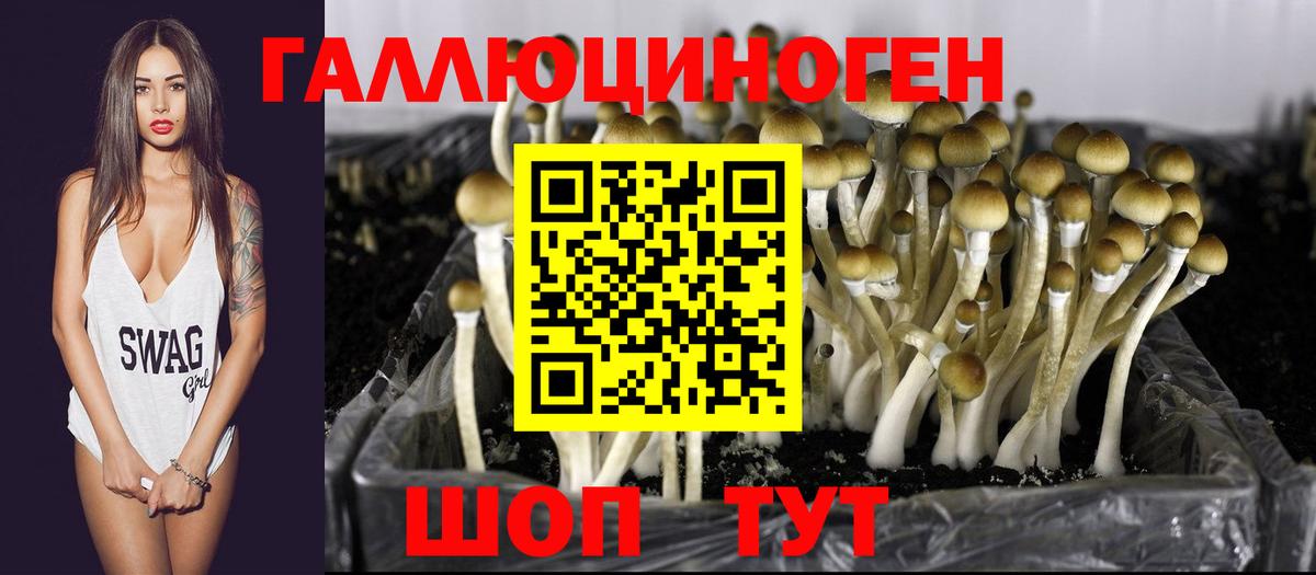 Псилоцибиновые грибы прущие грибы Благодарный
